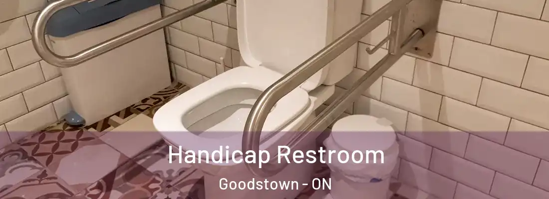  Handicap Restroom Goodstown - ON