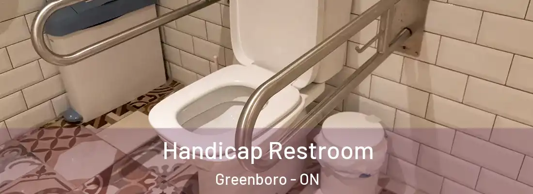 Handicap Restroom Greenboro - ON