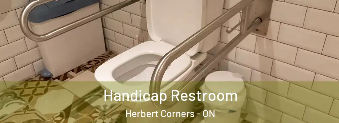  Handicap Restroom Herbert Corners - ON