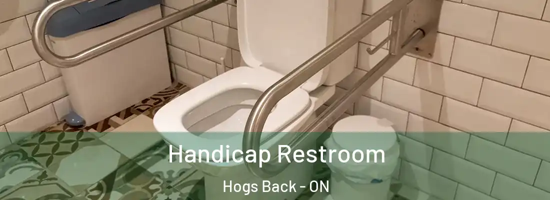  Handicap Restroom Hogs Back - ON