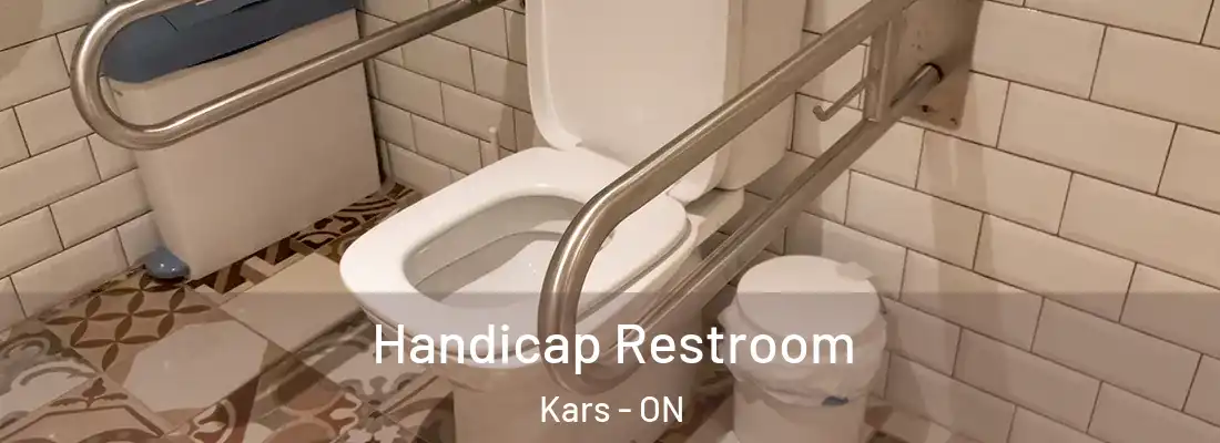  Handicap Restroom Kars - ON