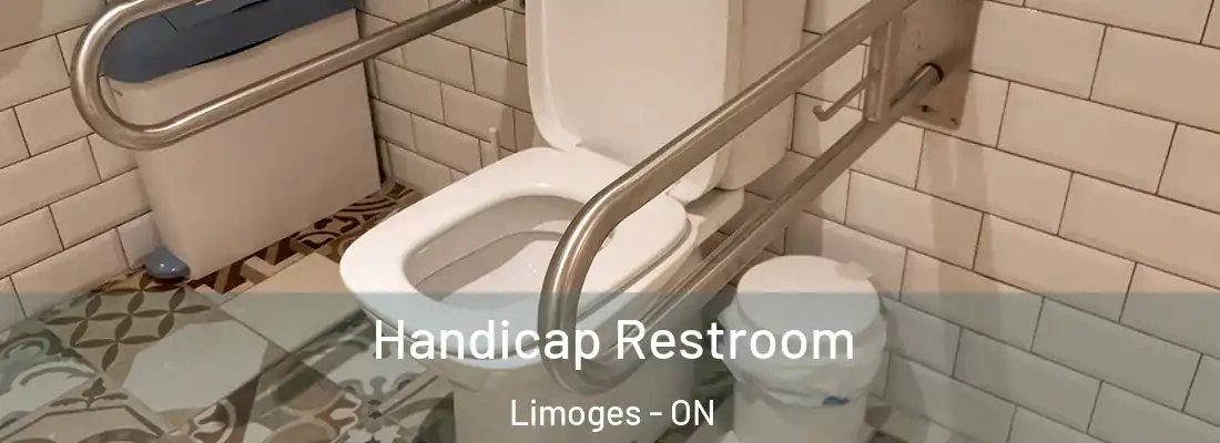  Handicap Restroom Limoges - ON