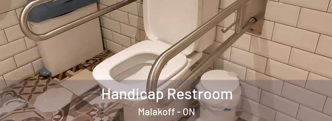  Handicap Restroom Malakoff - ON