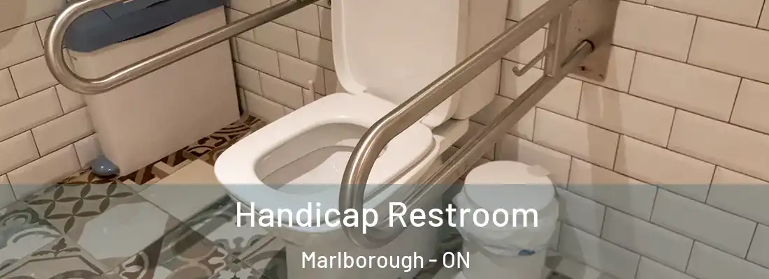  Handicap Restroom Marlborough - ON