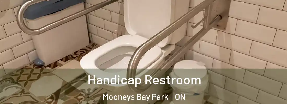  Handicap Restroom Mooneys Bay Park - ON