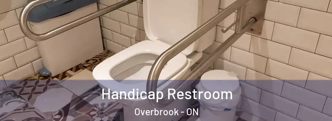  Handicap Restroom Overbrook - ON