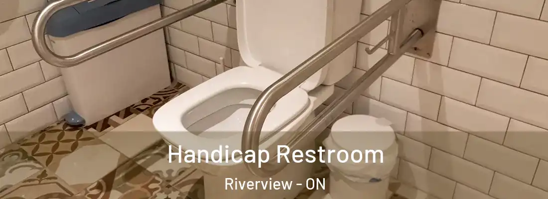  Handicap Restroom Riverview - ON