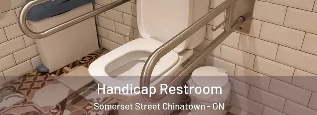  Handicap Restroom Somerset Street Chinatown - ON