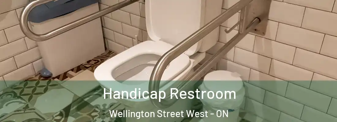  Handicap Restroom Wellington Street West - ON