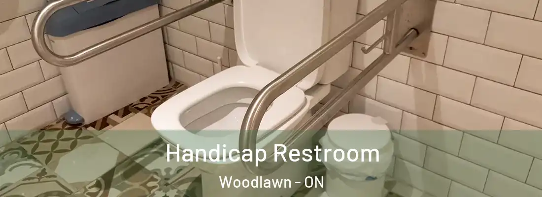  Handicap Restroom Woodlawn - ON