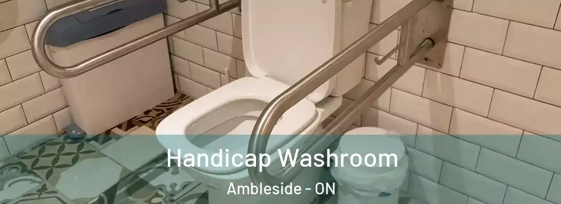  Handicap Washroom Ambleside - ON