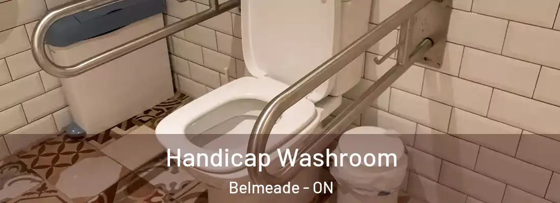  Handicap Washroom Belmeade - ON