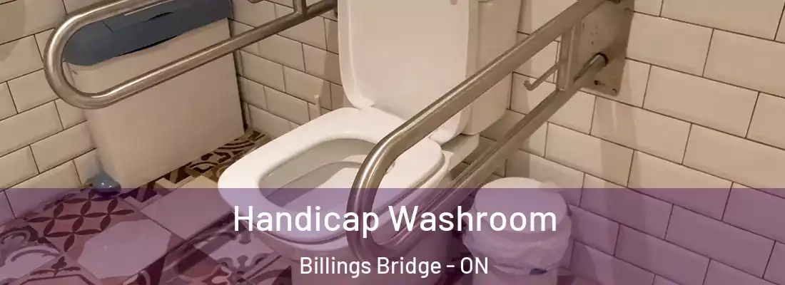  Handicap Washroom Billings Bridge - ON
