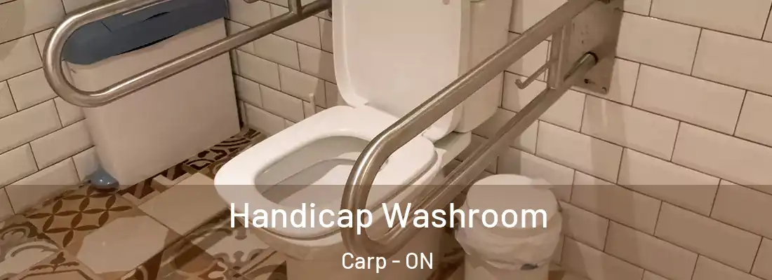  Handicap Washroom Carp - ON