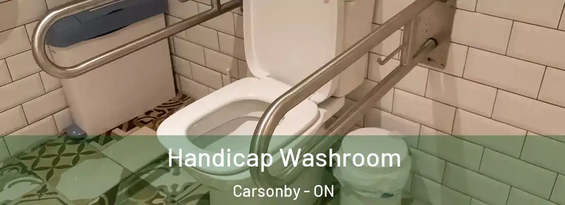  Handicap Washroom Carsonby - ON