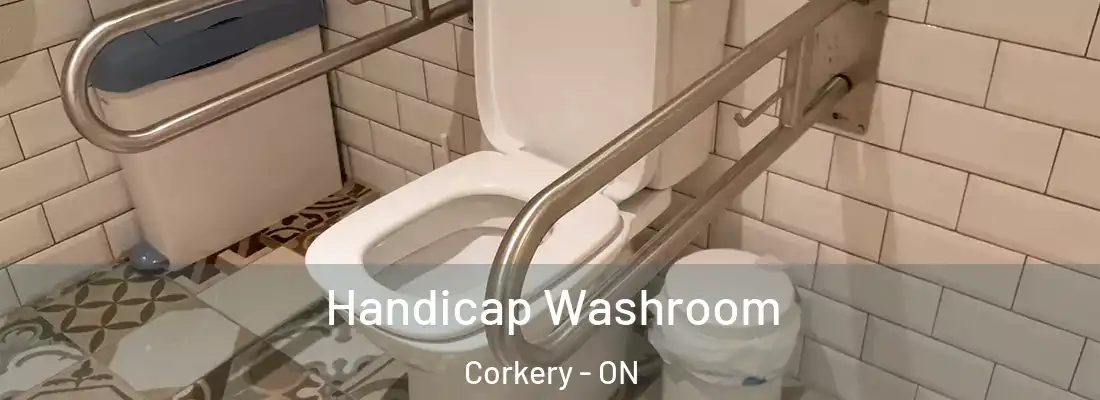  Handicap Washroom Corkery - ON
