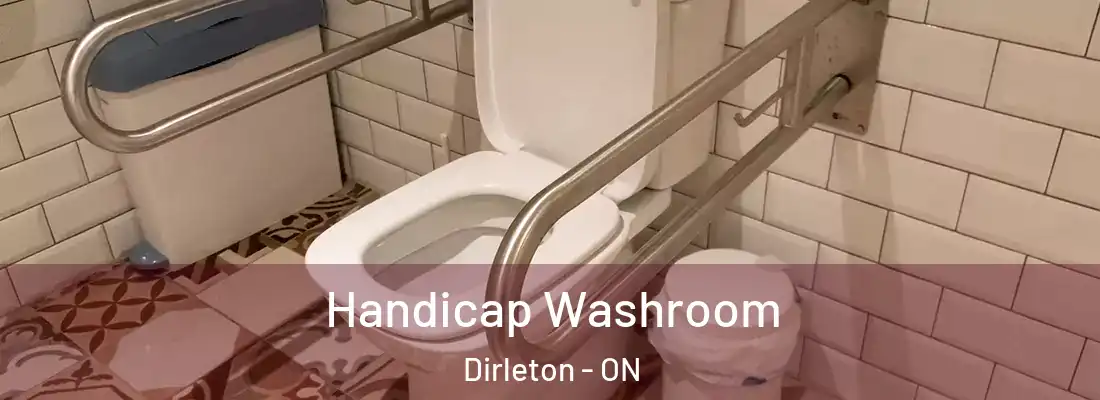  Handicap Washroom Dirleton - ON