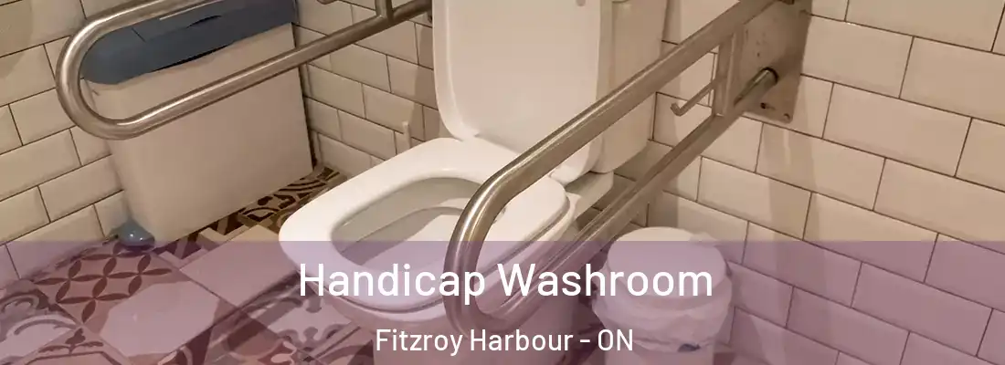  Handicap Washroom Fitzroy Harbour - ON