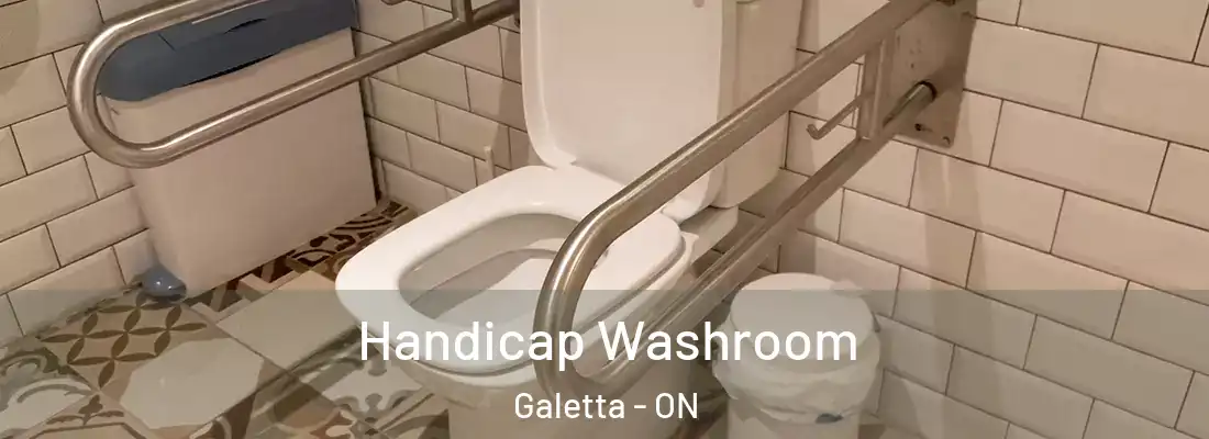  Handicap Washroom Galetta - ON