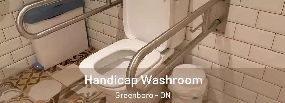  Handicap Washroom Greenboro - ON
