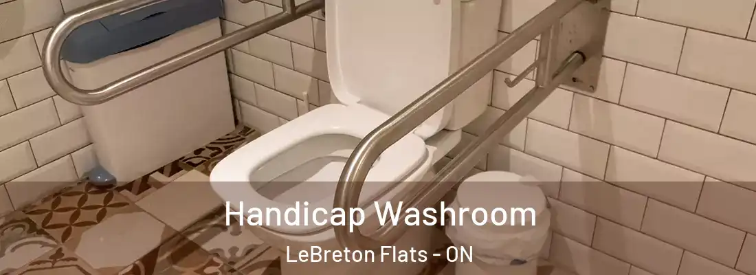  Handicap Washroom LeBreton Flats - ON