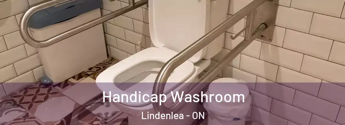 Handicap Washroom Lindenlea - ON