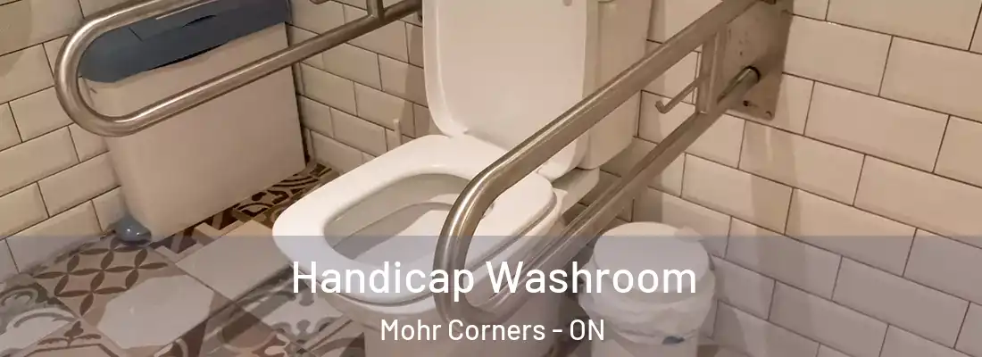  Handicap Washroom Mohr Corners - ON