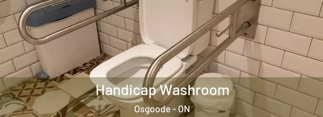  Handicap Washroom Osgoode - ON