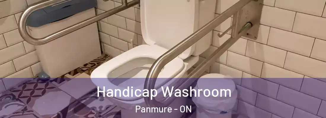  Handicap Washroom Panmure - ON