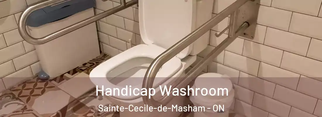  Handicap Washroom Sainte-Cecile-de-Masham - ON