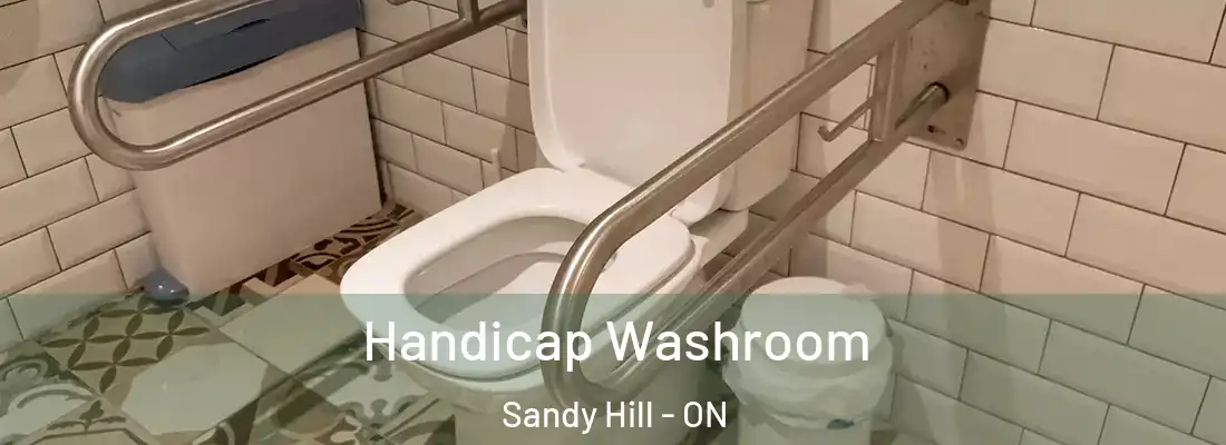  Handicap Washroom Sandy Hill - ON