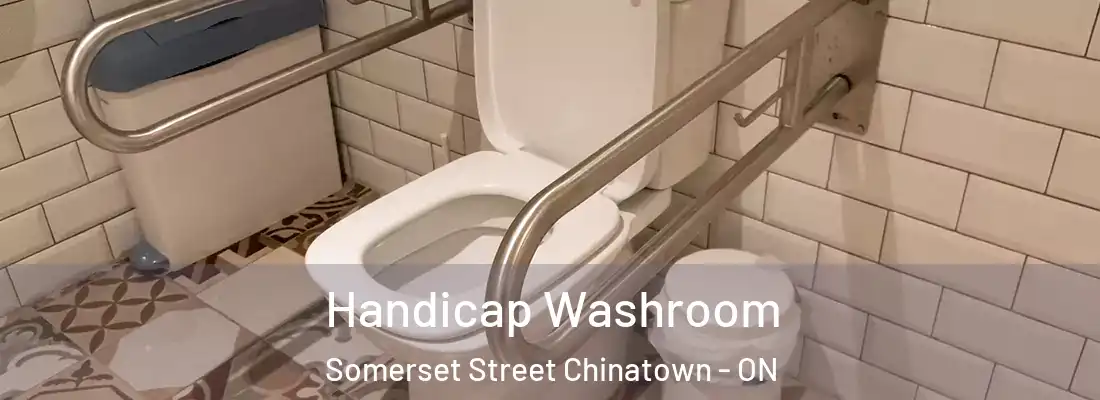  Handicap Washroom Somerset Street Chinatown - ON