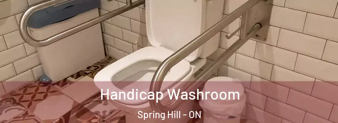  Handicap Washroom Spring Hill - ON