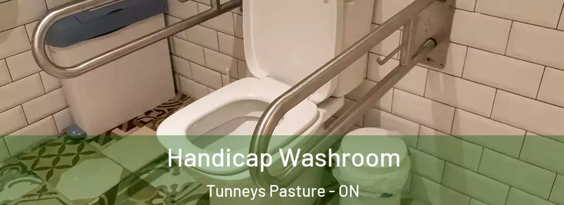  Handicap Washroom Tunneys Pasture - ON