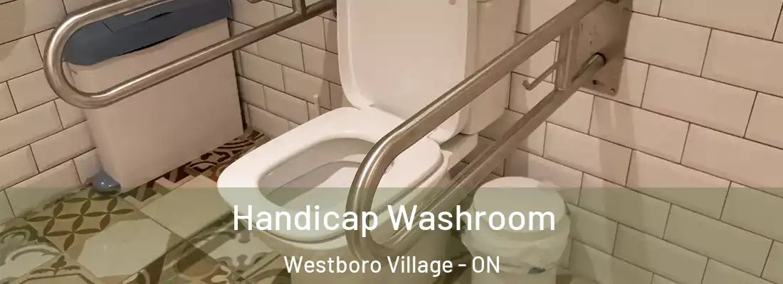  Handicap Washroom Westboro Village - ON