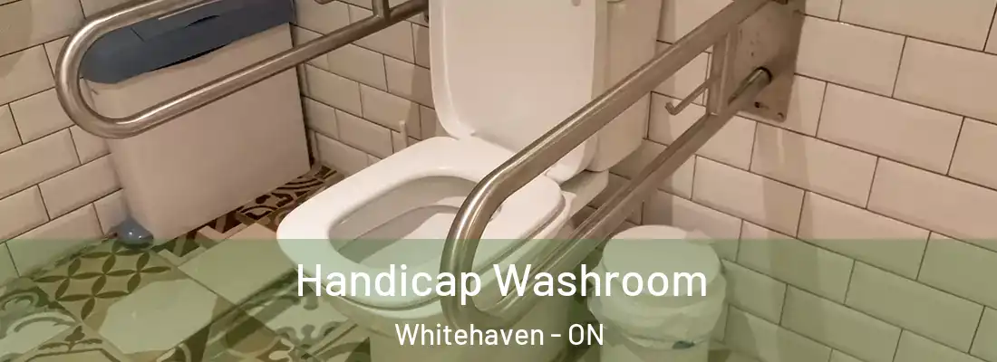  Handicap Washroom Whitehaven - ON