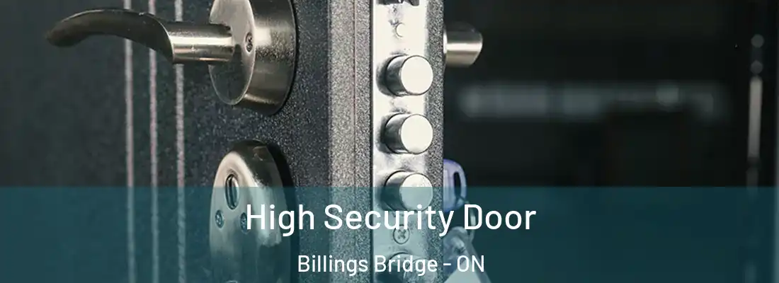 High Security Door Billings Bridge - ON
