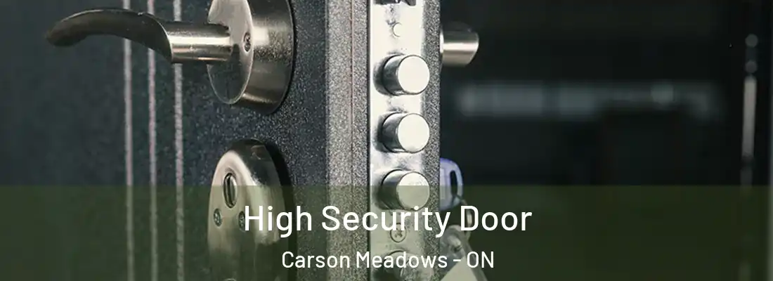  High Security Door Carson Meadows - ON