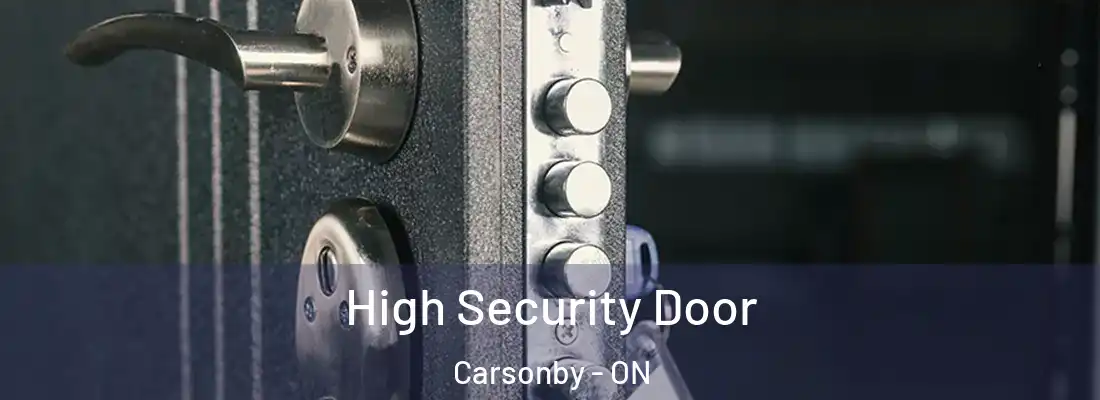  High Security Door Carsonby - ON