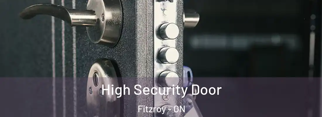  High Security Door Fitzroy - ON