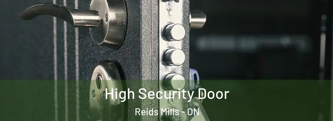  High Security Door Reids Mills - ON