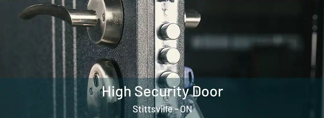  High Security Door Stittsville - ON