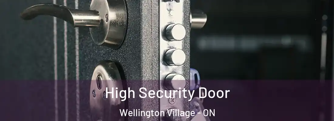  High Security Door Wellington Village - ON