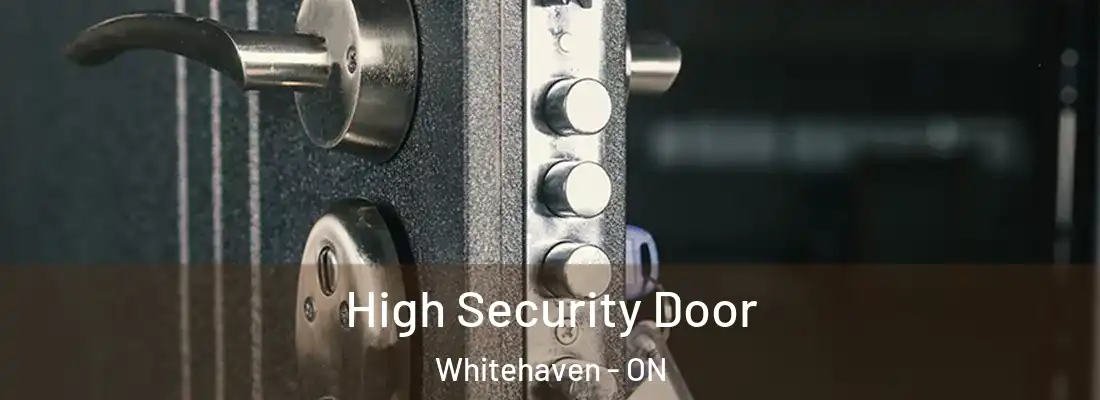  High Security Door Whitehaven - ON