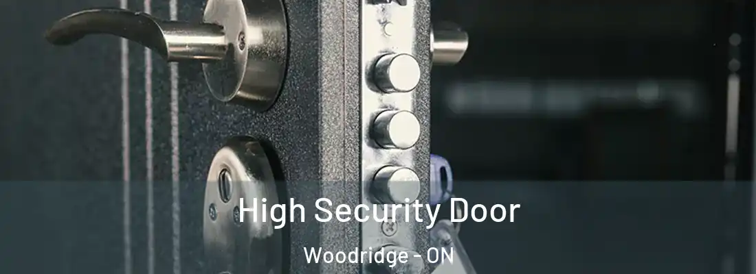  High Security Door Woodridge - ON