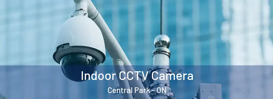  Indoor CCTV Camera Central Park - ON