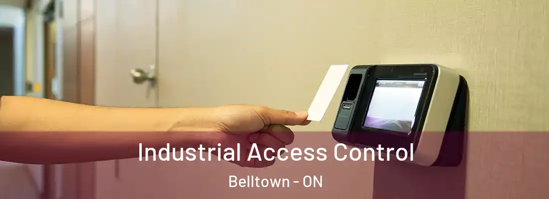  Industrial Access Control Belltown - ON