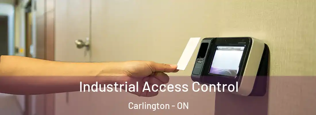  Industrial Access Control Carlington - ON