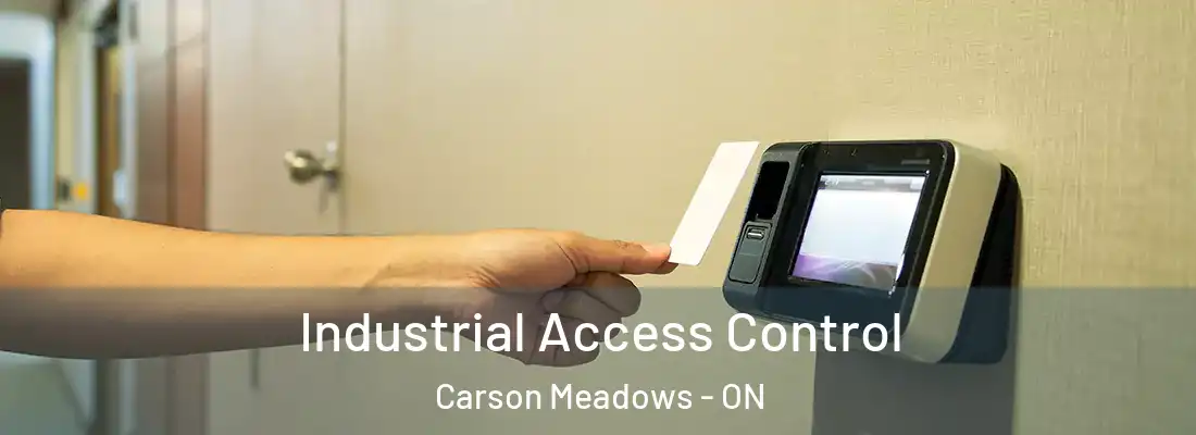  Industrial Access Control Carson Meadows - ON