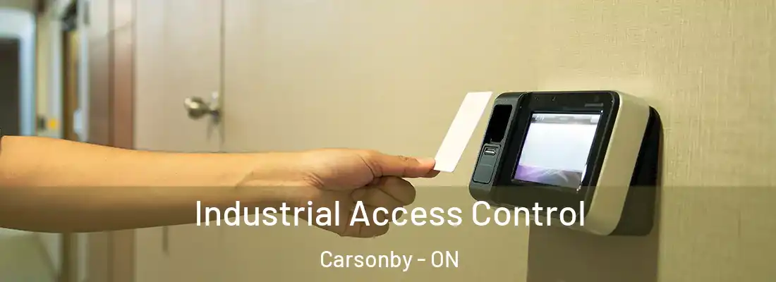  Industrial Access Control Carsonby - ON